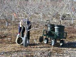 رسیدگی به باغچه در زمستان - فوت و فن های باغبانی